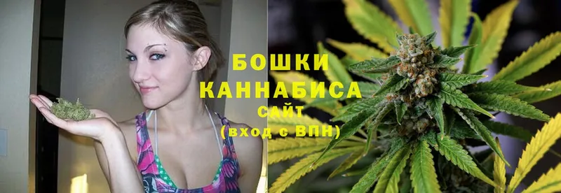 Канабис OG Kush  Бабаево 